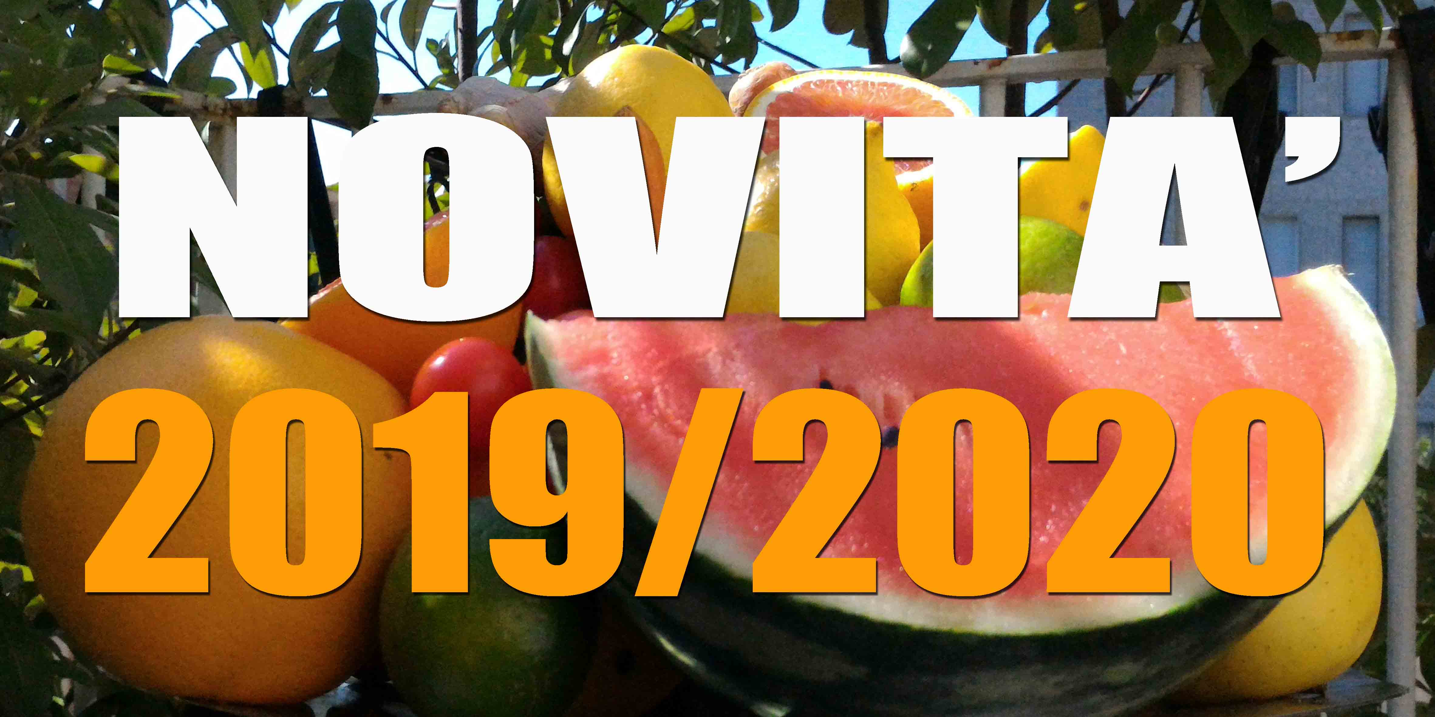 NOVITA' 2019-2020 -LAW AND FOOD SAFETY IN CHINA -  BLOCKCHAIN FOR AGRIFOOD E ENGLISH FOR FOOD LAW